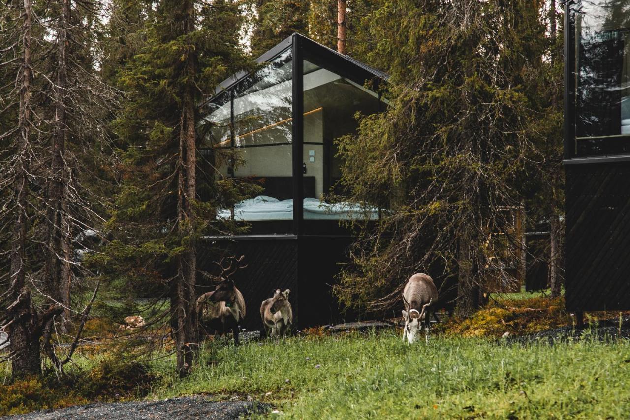 Magical Pond Nature Igloos Ruka Exterior foto