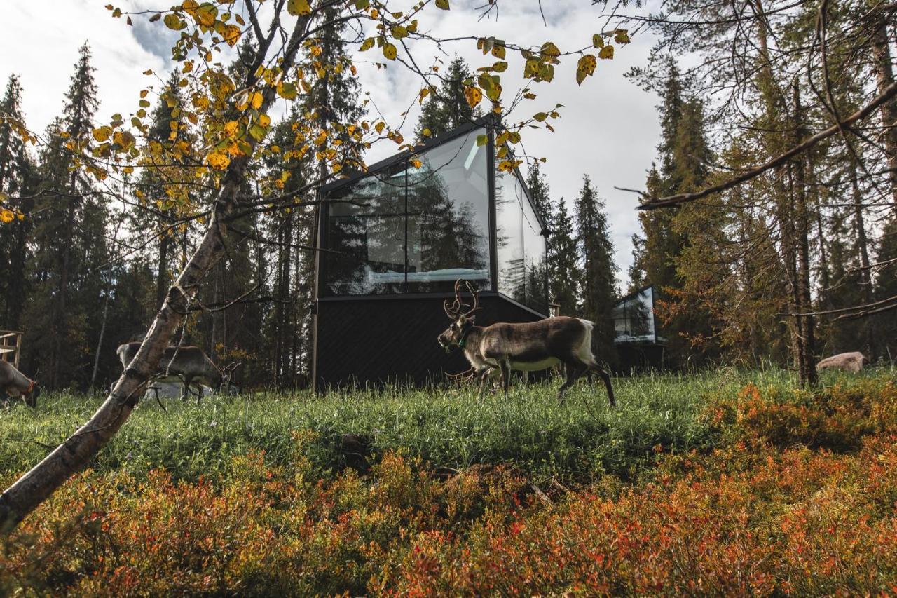 Magical Pond Nature Igloos Ruka Exterior foto